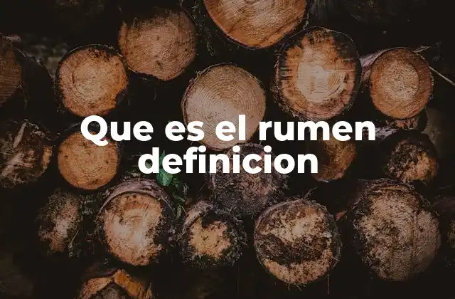 Que es el Rumen Definicion