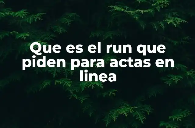Que es el Run que Piden para Actas en Linea