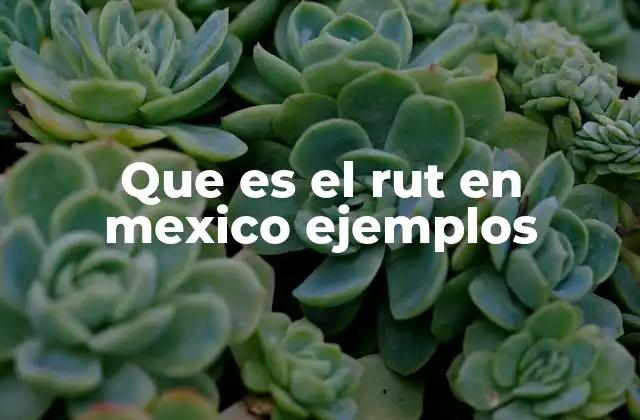 Que es el Rut en Mexico Ejemplos