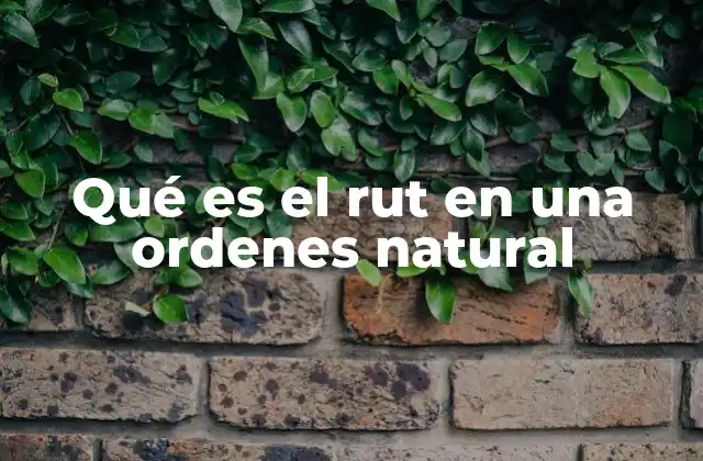 Qué es el Rut en una Ordenes Natural
