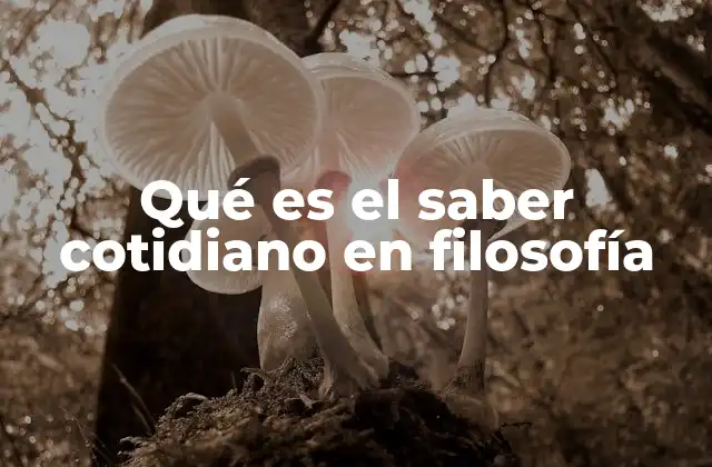 Qué es el Saber Cotidiano en Filosofía