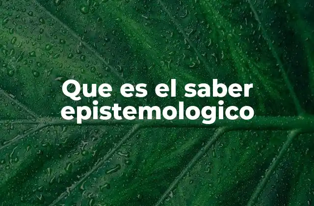 Que es el Saber Epistemologico