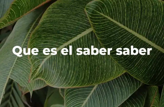 La importancia del conocimiento sobre el conocimiento