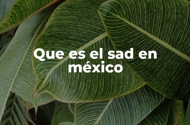 Que es el Sad en México