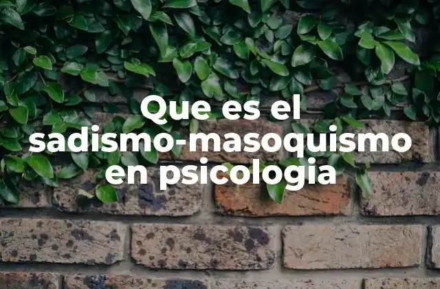 Que es el Sadismo-masoquismo en Psicologia
