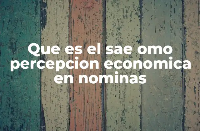 Que es el Sae Omo Percepcion Economica en Nominas