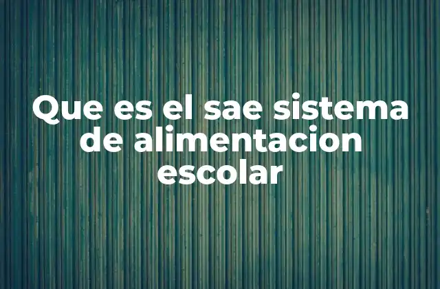 El rol del SAE en la educación y el desarrollo infantil