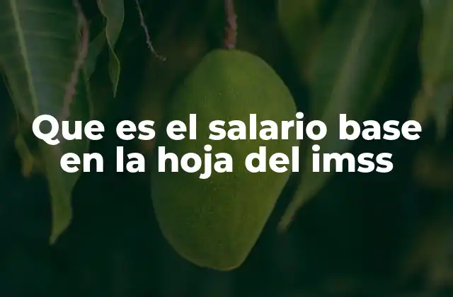 Que es el Salario Base en la Hoja Del Imss
