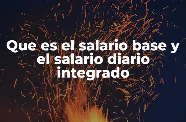Que es el Salario Base y el Salario Diario Integrado