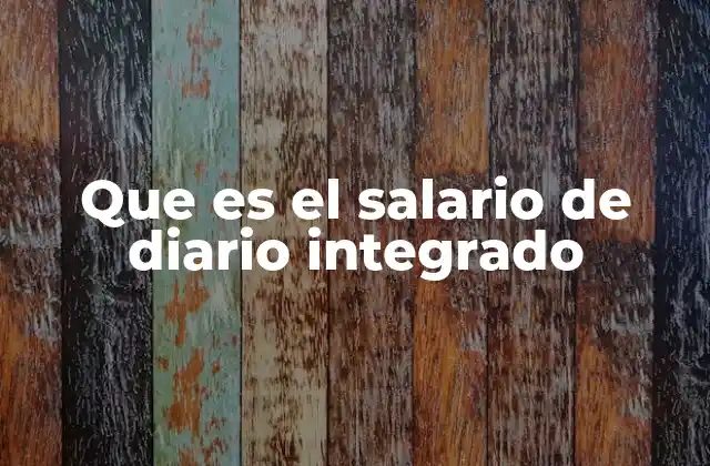Que es el Salario de Diario Integrado