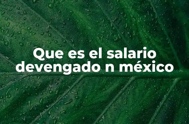 Que es el Salario Devengado N México