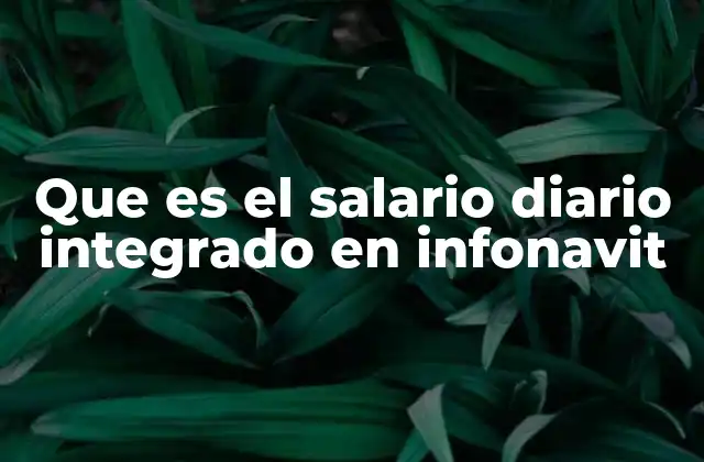 Que es el Salario Diario Integrado en Infonavit