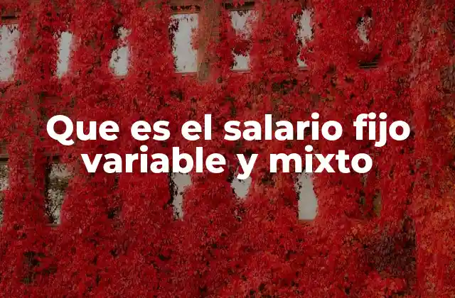 Que es el Salario Fijo Variable y Mixto