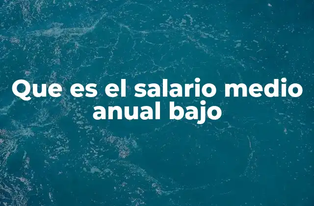 Que es el Salario Medio Anual bajo