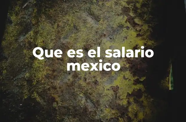 Que es el Salario Mexico