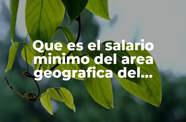 Que es el Salario Minimo Del Area Geografica Del Asegurado