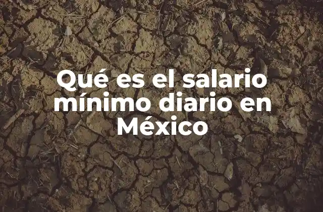 Qué es el Salario Mínimo Diario en México