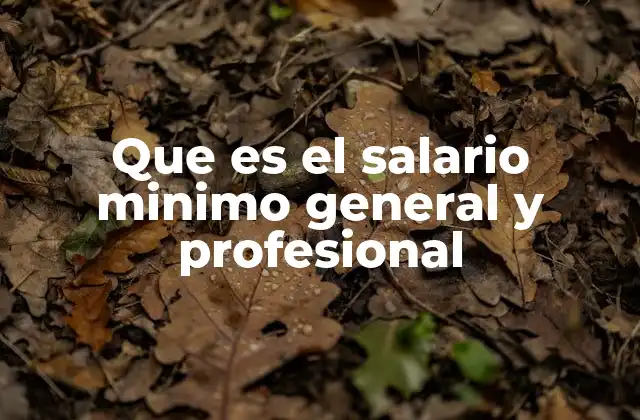Que es el Salario Minimo General y Profesional