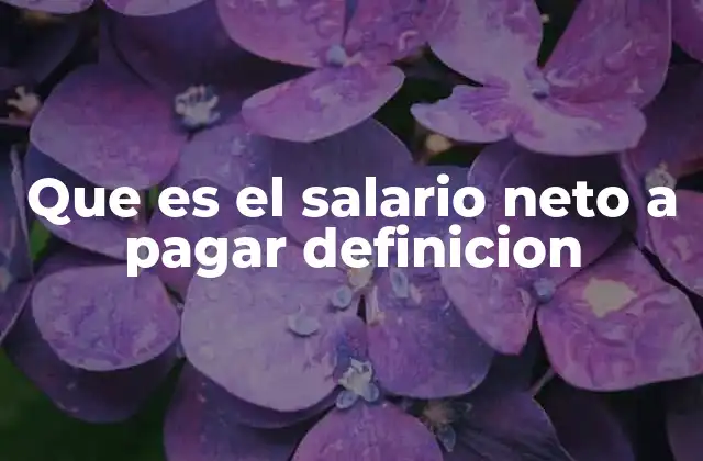 Que es el Salario Neto a Pagar Definicion