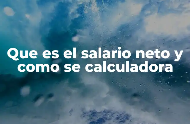 Que es el Salario Neto y como Se Calculadora
