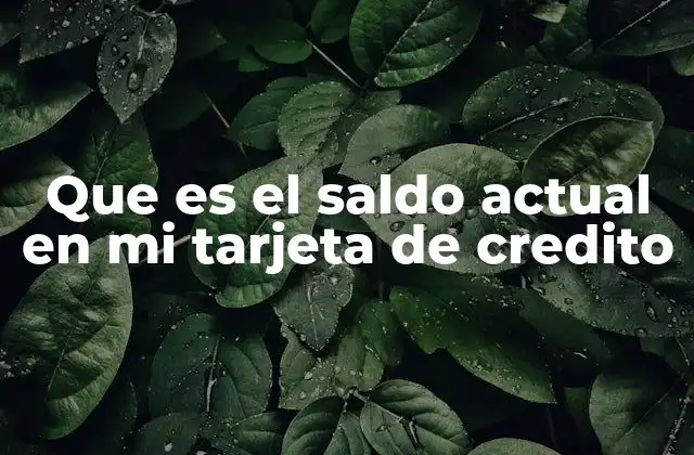 Que es el Saldo Actual en Mi Tarjeta de Credito