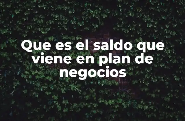 Que es el Saldo que Viene en Plan de Negocios