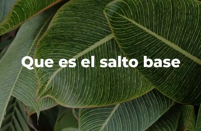 Que es el Salto Base