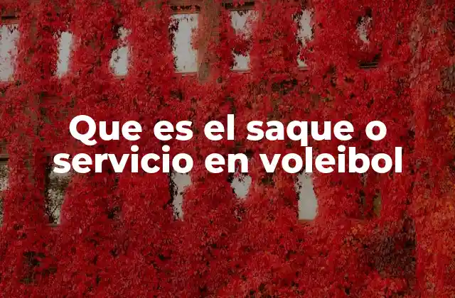 Que es el Saque o Servicio en Voleibol