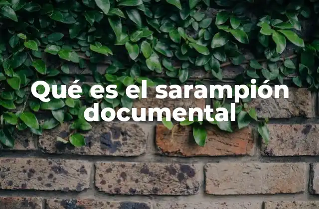 Qué es el Sarampión Documental