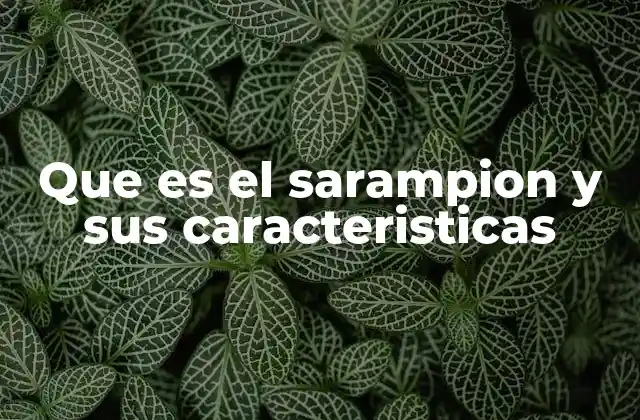 Que es el Sarampion y Sus Caracteristicas