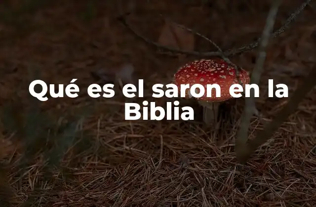Qué es el Saron en la Biblia