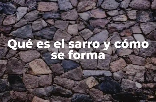 Qué es el Sarro y Cómo Se Forma