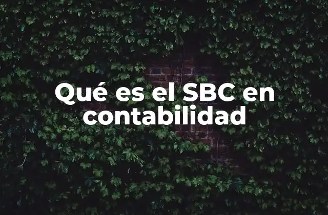 Qué es el Sbc en Contabilidad 2 El rol del SBC en la gestión contable empresarial