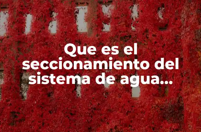 Que es el Seccionamiento Del Sistema de Agua Potable