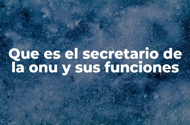 Que es el Secretario de la Onu y Sus Funciones