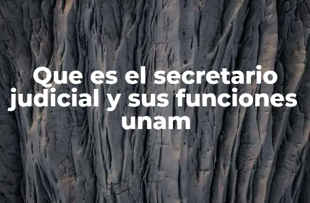 Que es el Secretario Judicial y Sus Funciones Unam