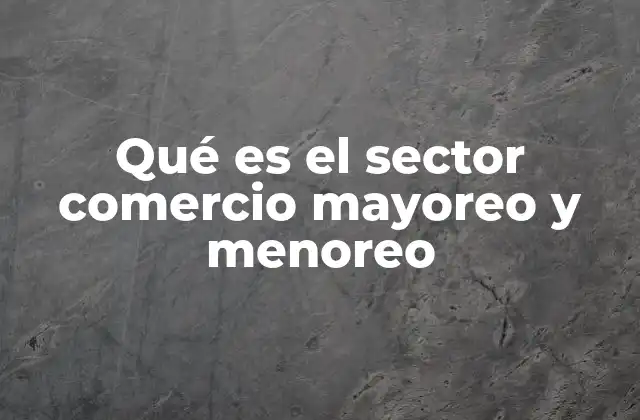 Qué es el Sector Comercio Mayoreo y Menoreo
