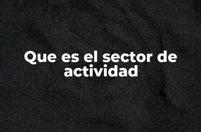 Que es el Sector de Actividad