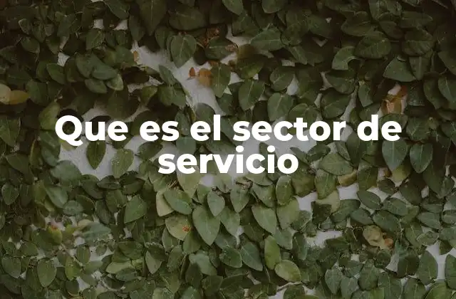Que es el Sector de Servicio