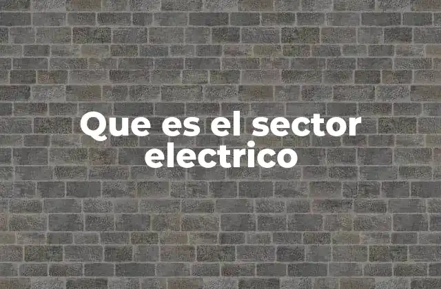 Que es el Sector Electrico