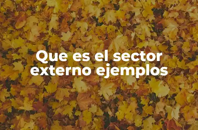 Que es el Sector Externo Ejemplos
