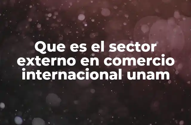 Que es el Sector Externo en Comercio Internacional Unam