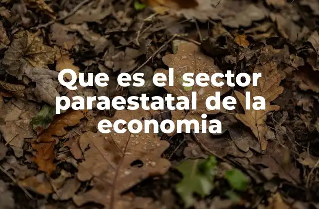 Que es el Sector Paraestatal de la Economia 2 El rol del Estado en la economía sin ser dueño directo