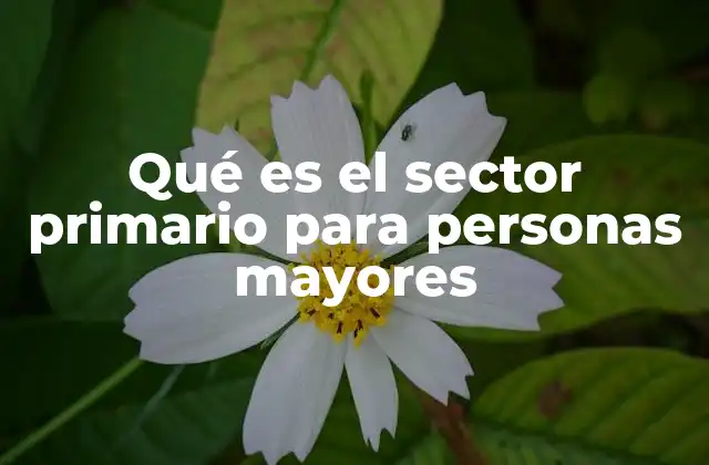 El papel del sector primario en la vida cotidiana