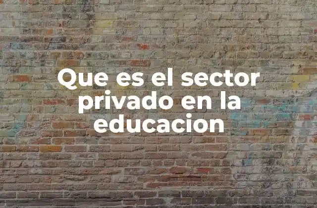 Que es el Sector Privado en la Educacion