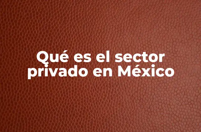 Qué es el Sector Privado en México