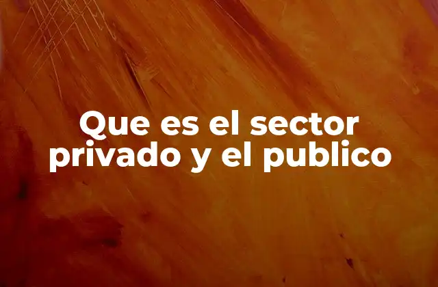 Que es el Sector Privado y el Publico