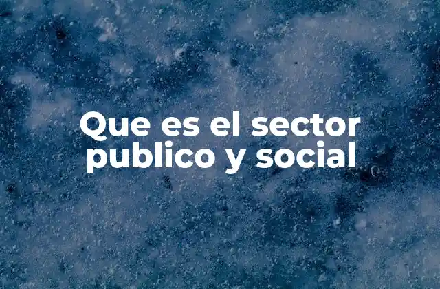 Que es el Sector Publico y Social