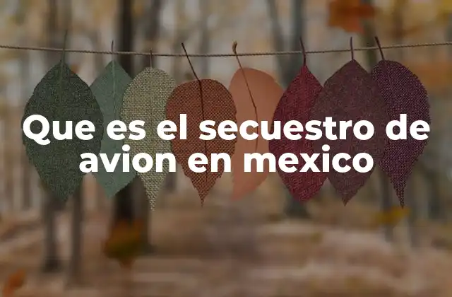 Que es el Secuestro de Avion en Mexico