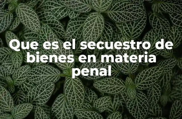 Que es el Secuestro de Bienes en Materia Penal